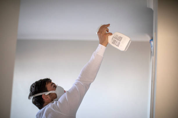 Best Commercial Mold Removal  in Dallastown, PA