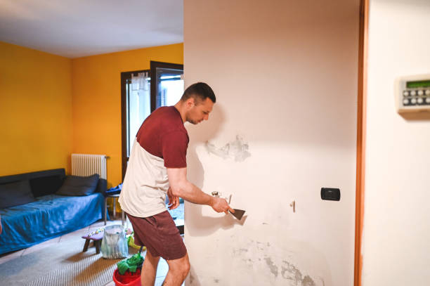 Best Mold Testing  in Dallastown, PA